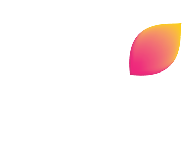 Colors SD