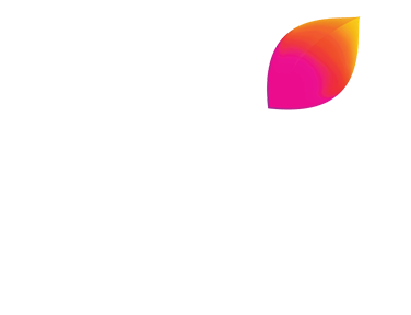 Colors Marathi SD