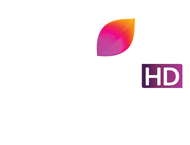 Colors Marathi HD